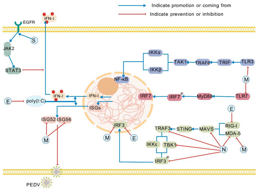 尊时凯龙生物分发系统